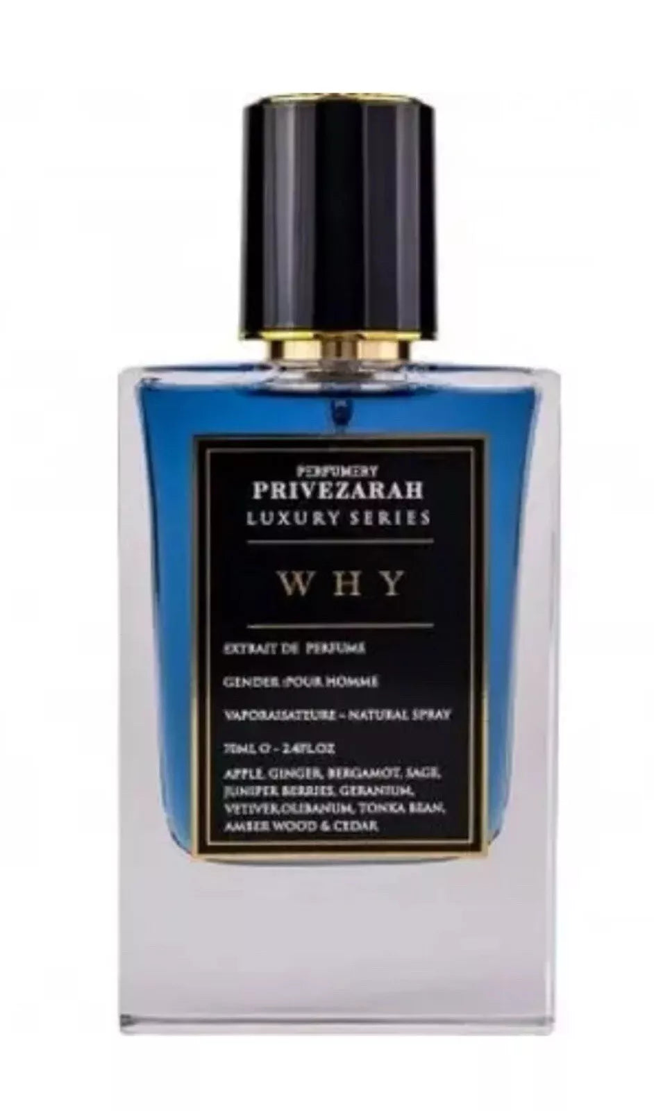 Paris Corner Privezarah WHY EDP 70ml Aromatic Fougere Men Fragrance