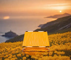 Gulf Orchid Maison Asrar SUNSET IN CAPRI Eau De Parfum 90ML Luxurious Packaging