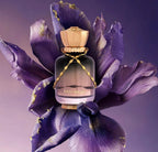 Maison Asrar Date Night | EDP | 100ml | Night. Young. Possibilities. Endless